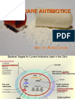 Macrolide