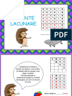 Cuvinte Lacunare PDF