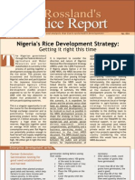 Rice Sector Report