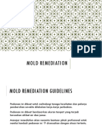 Mold Remediation Prof