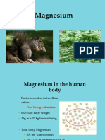 magnesium 