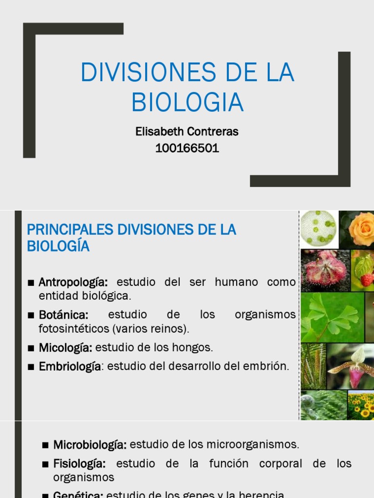 Divisiones de La Biologia