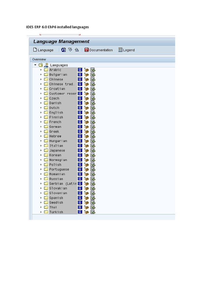 IDES ERP 6.0 EhP6 Language Options | PDF