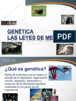 Biologia Genetica y Leyes de Mendel