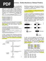 BORELLA 3 ANO Exercicios Extras Acidos Nucleicos e Sintese Proteica