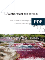 Wonders of The World: Juan Sebastián Restrepo Giraldo Chemical Technology