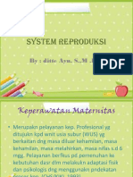 System Reproduksi 1