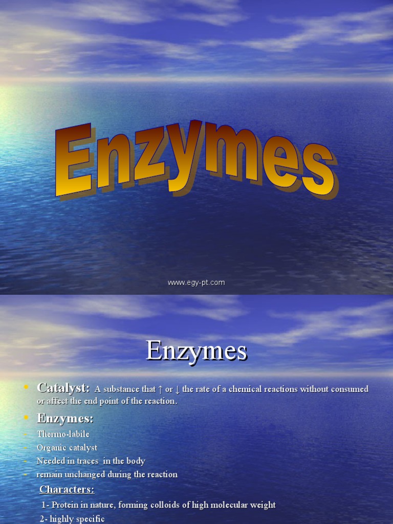 Enzymes PDF Enzyme Catalysis