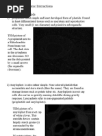 Plastids and Genome Interactions 1. Types of Plastids