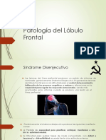 Lobulo Frontal