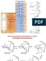 C9 Elemente de Biochimie PDF