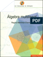 Algebra Multilineal - Regino Martinez Chavanz.pdf