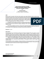 BSDG 20100202 PDF