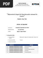 Informe de Seguridad - N 13 Rev 1 (1)