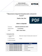 Informe de Seguridad - N 13 Rev 1