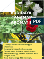 Budidaya Tanaman Aromatik