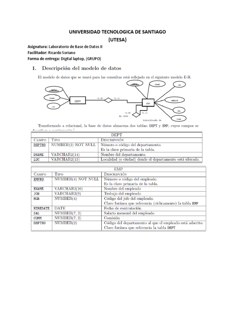 Practica 80 Ejercicios Laboratorio Pdf