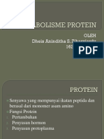 Dheis Metsbolisme Protein