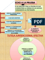 Ponencia La Prueba