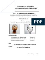 Informe Final- Agua Carbonatada