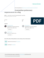 A Case Report of Extralobar Pulmonary Sequestratio