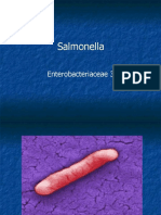 Salmonella 111011132716 Phpapp01