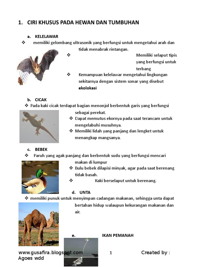 Rangkuman Materi Ipa Pdf
