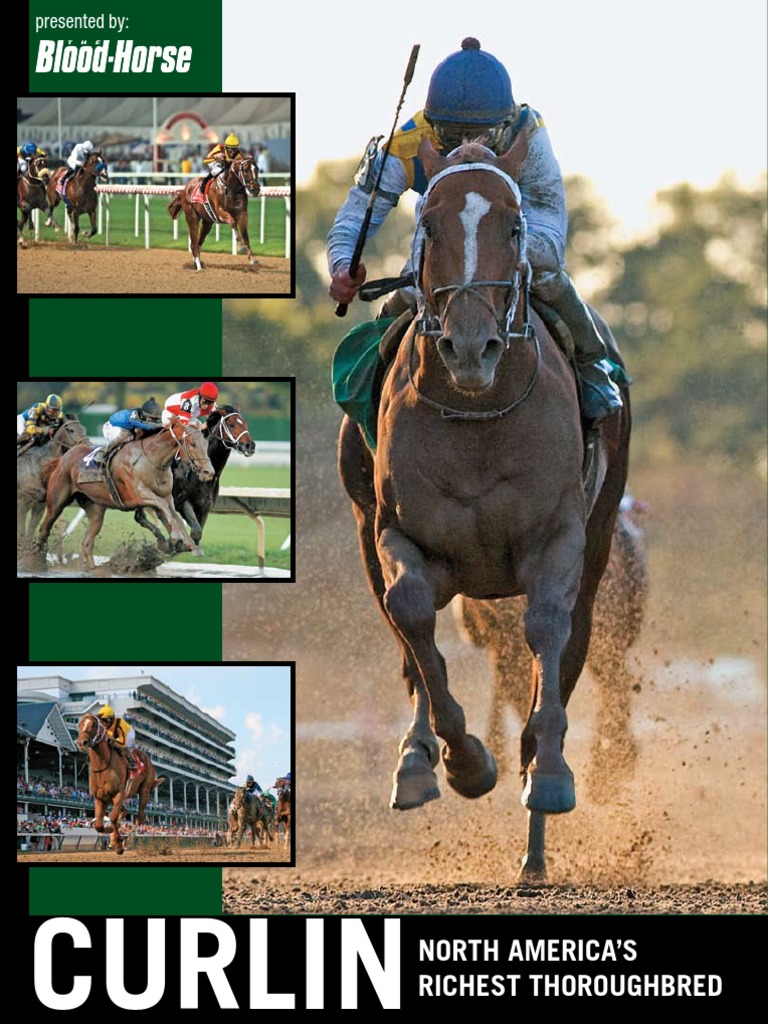 Curlin Thoroughbred Racing Richest Horse Pi54 Preakness Stakes