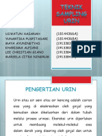 Bioanalis Urin