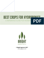 Best Crops For Hydroponics - Bright Agrotech