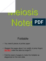 Meiosis Foldable