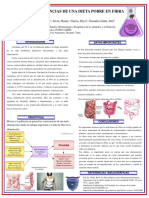 Consecuencias de Una Dieta Pobre en Fibra