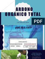 Carbono Orgánico Total