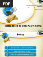 2 Indicadores Desenvolvimento