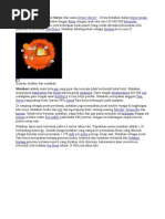 Download Untitled 1 by Siska Chandra SN37412645 doc pdf