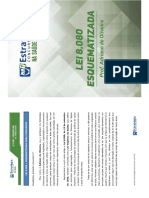 Lei 8080 Esquematizada1 PDF