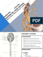 Medula, Tronco Encefalo y Cerebelo 1 13 PDF