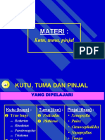 Cimex Pinjaldan Kutu