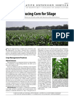 Producing Corn For Silage: Crop Management Practices