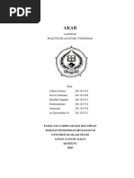 Download Laporan Praktikum VIII Akar by Lukita Octavia Novelist SN37416347 doc pdf