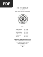 Download Laporan Praktikum I Sel Tumbuhan by Lukita Octavia Novelist SN37416568 doc pdf