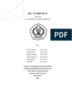 Laporan Praktikum I Sel Tumbuhan