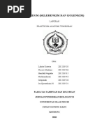 Download Laporan Praktikum IV Stereom by Lukita Octavia Novelist SN37416849 doc pdf