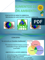 Gestión Ambiental Pama - Eia