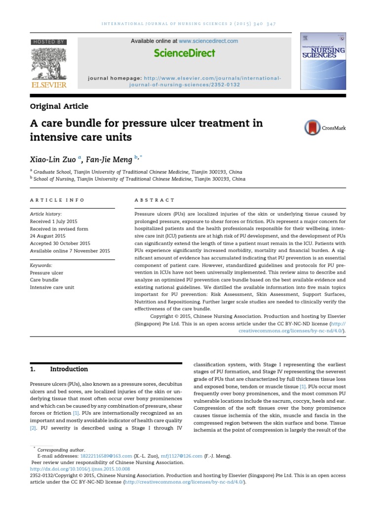 A Care Bundle For Pressure Ulcer Treatment in | PDF | Intensive Care ...