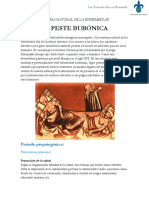 285666580-Historia-Natural-de-La-Enfermedad-Peste-Bubonica.docx