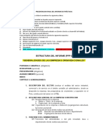 Estructura Del Informe PPP I
