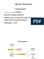 anaerob,fermentasi,faktor