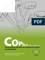 CIDDC_Copilul_meu_singur_acasa_2007.pdf