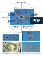 Eye-acupuncture.pdf